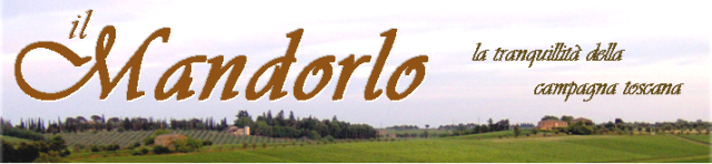 Farmhouse Il Mandorlo: the peacefulness of the tuscan countryside...